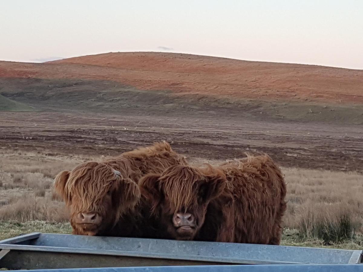 Innlands - North Skye Kilmaluag Ngoại thất bức ảnh